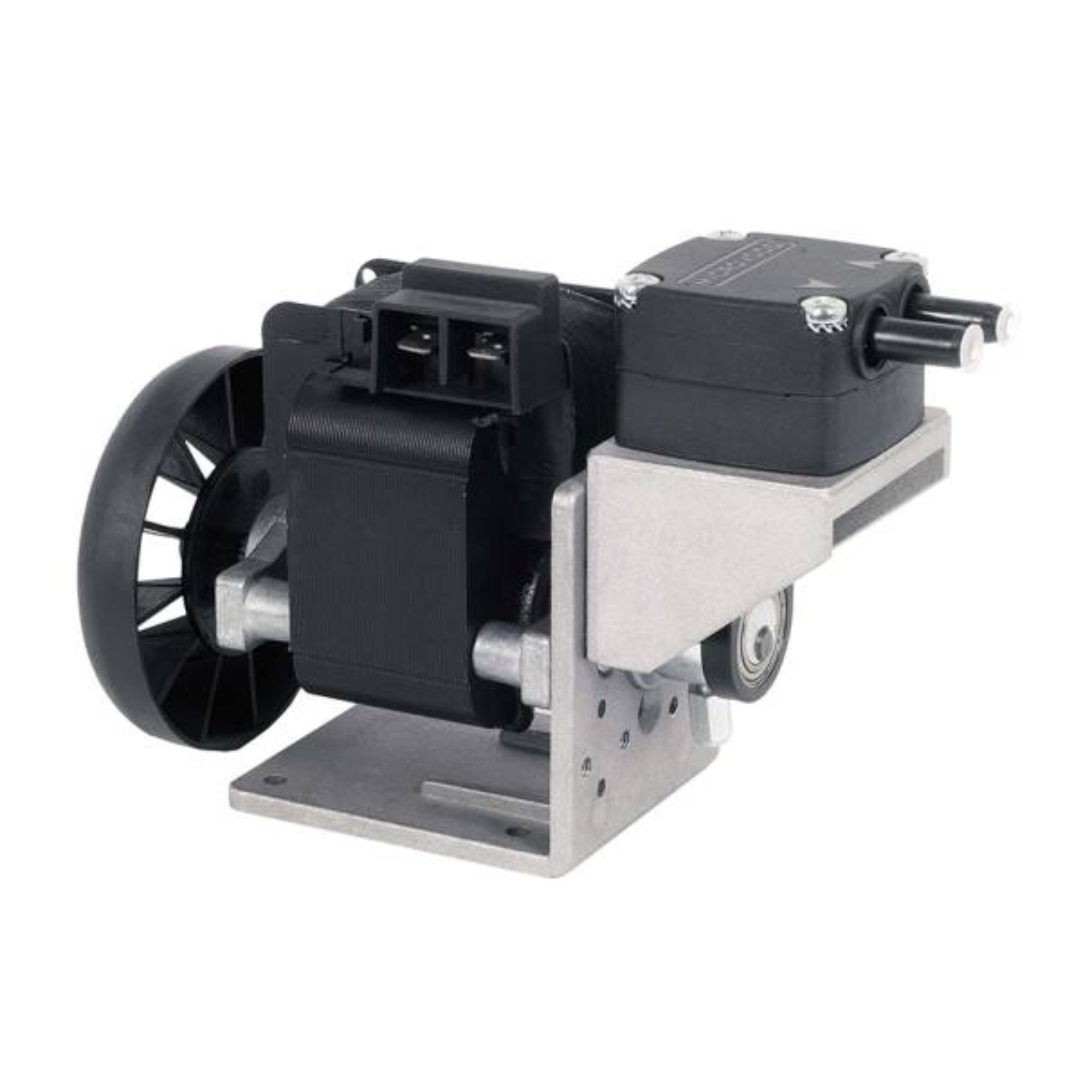 Untitled design (19)